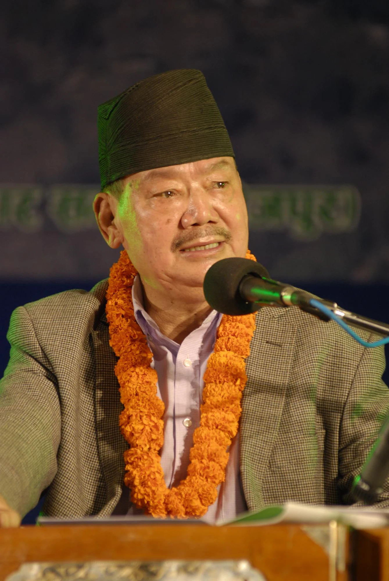 Ganesh Rasik background portrait