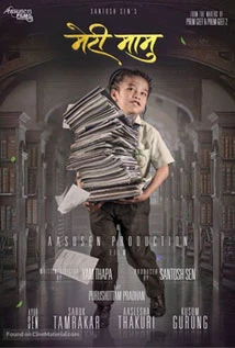Meri Mamu poster